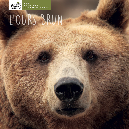 Couverture du livre photo L'ours brun de la collection Mes Premiers Documentaires d'ACCÈS Jeunesse.