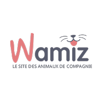 Wamiz