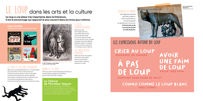 Documentaire Le loup