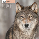 Documentaire Le loup