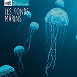 Documentaire Les fonds marins