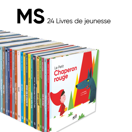 Lot de 24 albums ACCÈS Jeunesse à exploiter avec le guide pédagogique Autour des livres MS.
