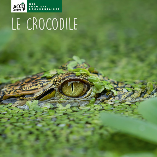 Documentaire le crocodile couverture acces jeunesse