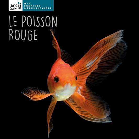 Couverture du livre photo Le poisson rouge de la collection Mes Premiers Documentaires d'ACCÈS Jeunesse.