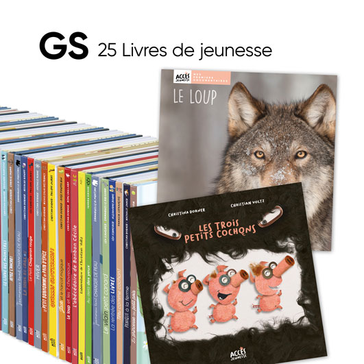 Lot de 25 albums ACCÈS Jeunesse à exploiter avec le guide pédagogique Autour des livres GS.