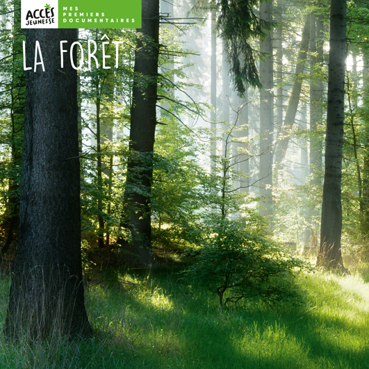Couverture du livre photo La forêt de la collection Mes premiers documentaires d'ACCÈS Jeunesse.